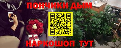 крисы Анжеро-Судженск