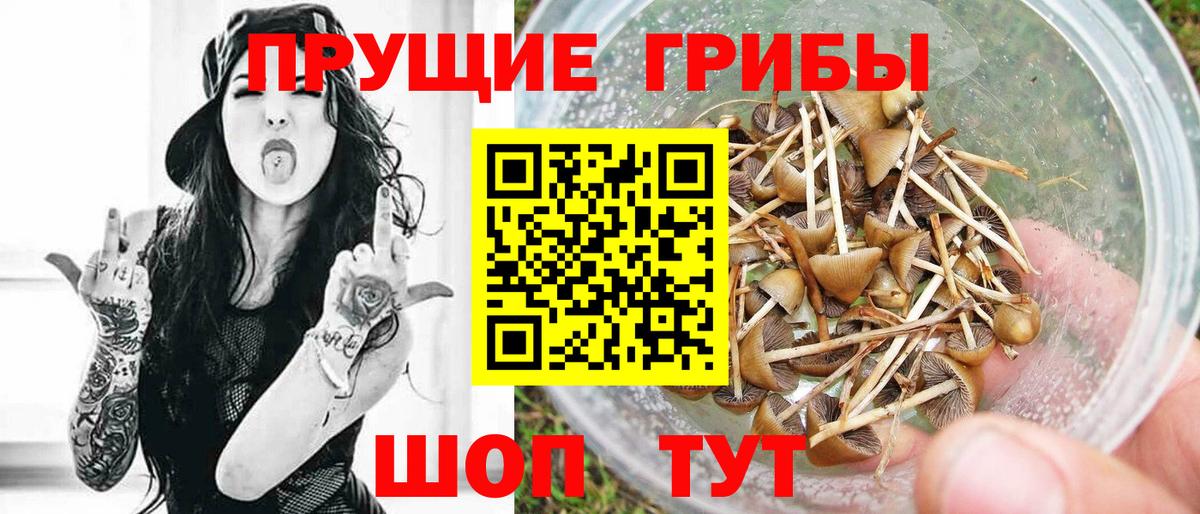 Псилоцибиновые грибы Magic Shrooms  Псилоцибиновые грибы мухоморы  Вход с VPN  Белогорск 
